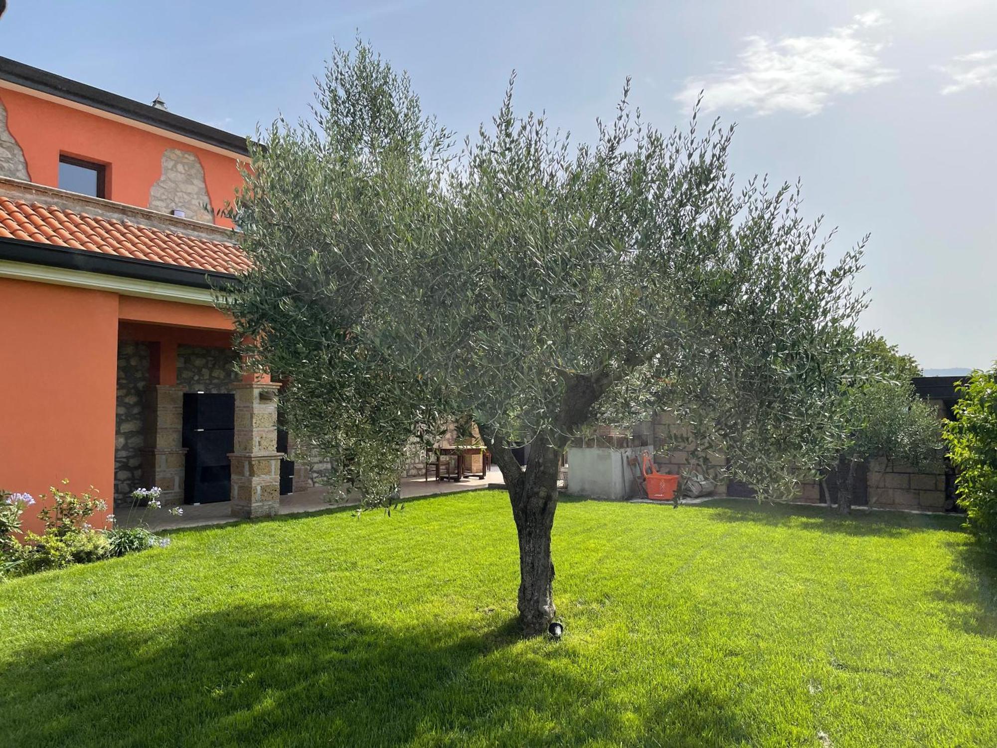 Azienda Agricola Ponterotto Mirabella Eclano Eksteriør billede