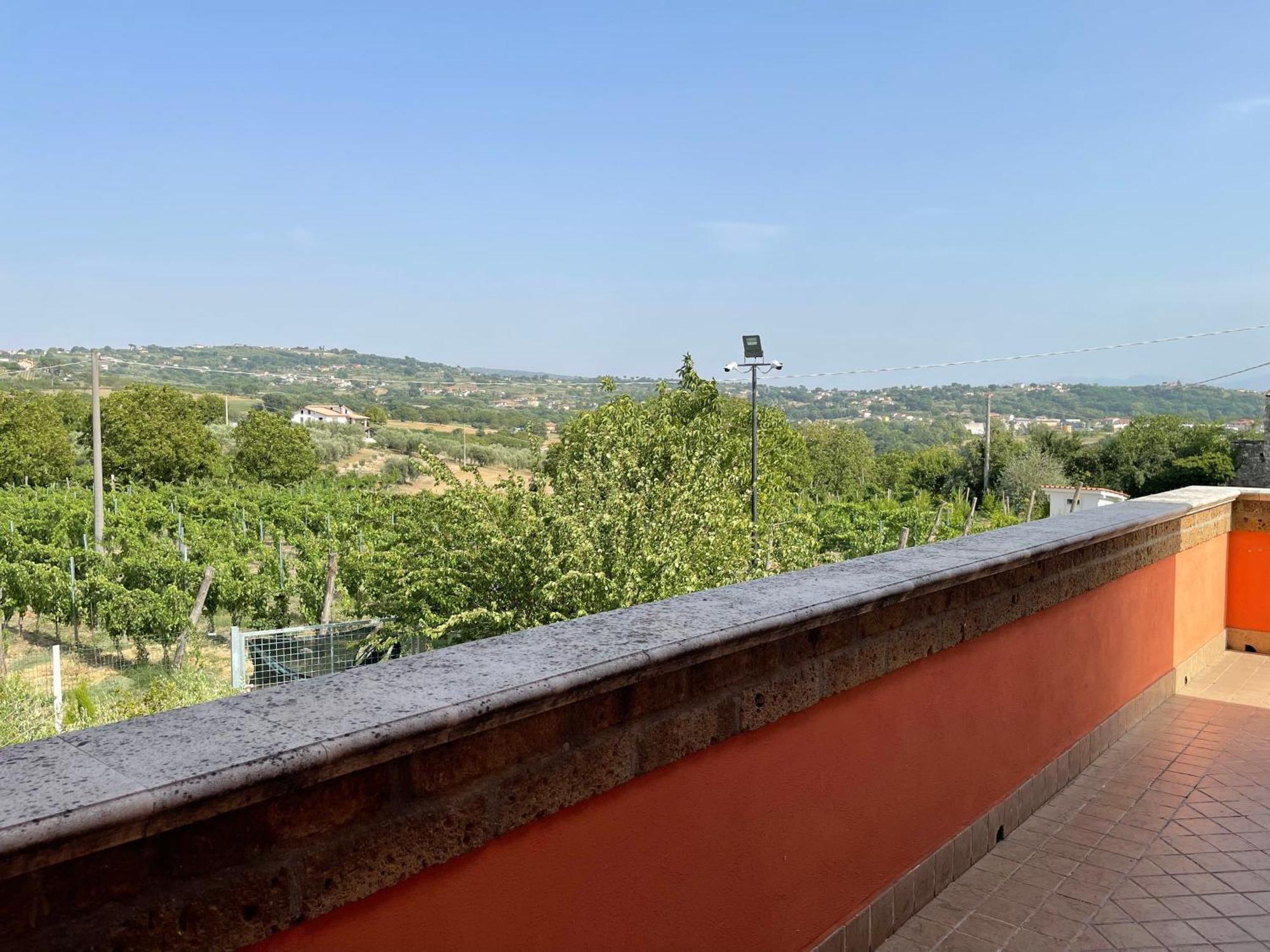 Azienda Agricola Ponterotto Mirabella Eclano Eksteriør billede